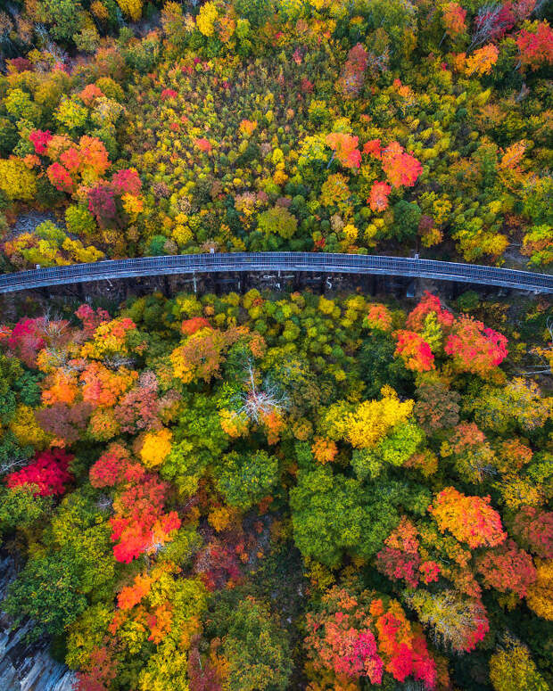 New Hampshire