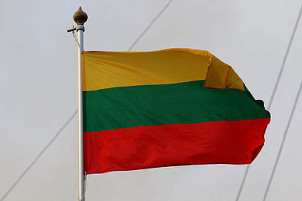 Украинские мошенники обманули литовского депутата, пытавшегося сделать донат ВСУ