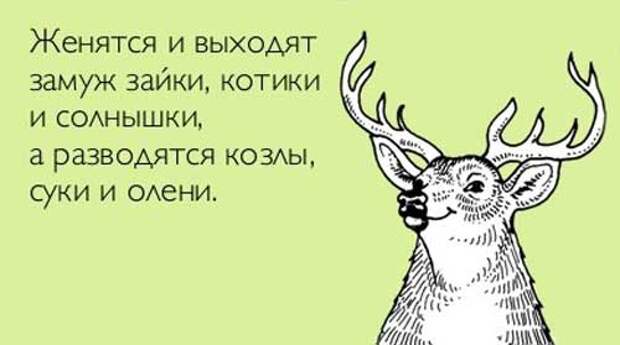 Смешные цитаты со смыслом