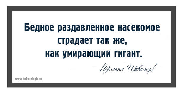 20 мудрых цитат великого Шекспира, актуальных и сегодня