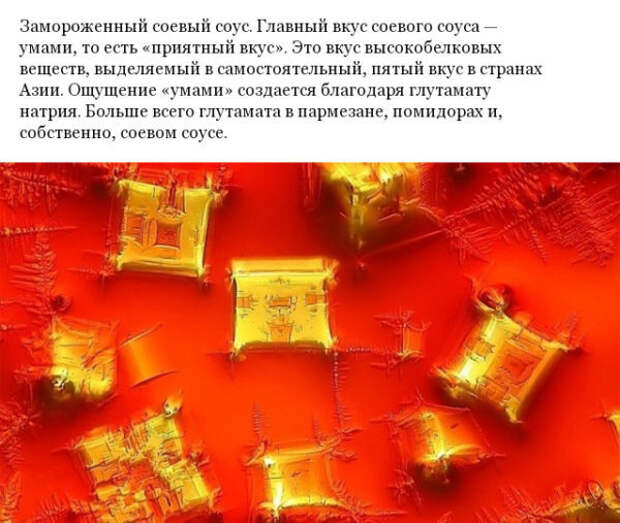 Фото различных предметов под микроскопом