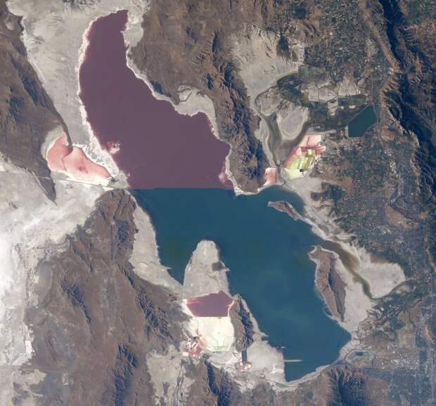 Двухцветное озеро: почему части Большого Соленого озера разного цвета 