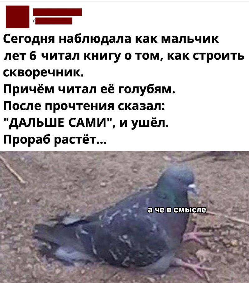 Смешные картинки с надписями (24)