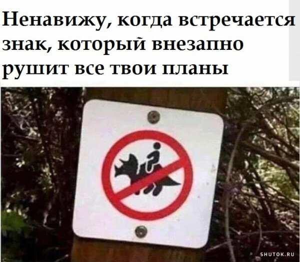 Юмор, мемы, картинки! Продолжаем наш весенний юмор!