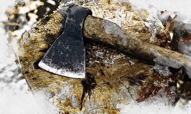 В Орле в сквере Танкистов вырубили сирень