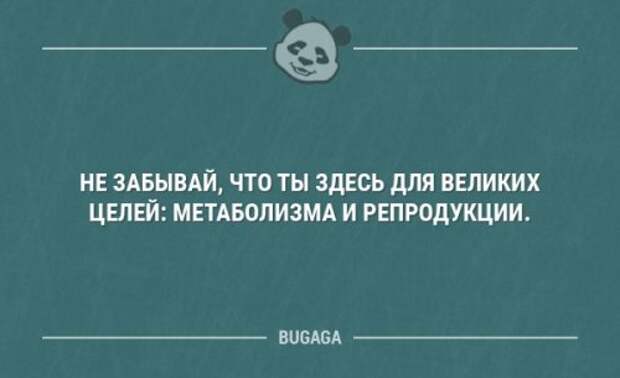 великое целое