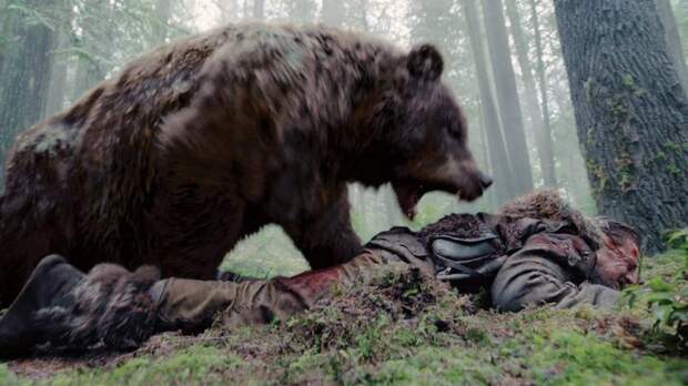 Насколько суровы сибиряки: житель Тывы отбился от медведя, откусив ему язык