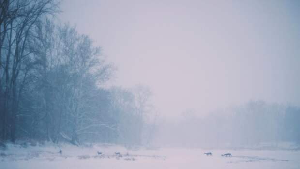 Сильный ветер продолжит бушевать в Карелии