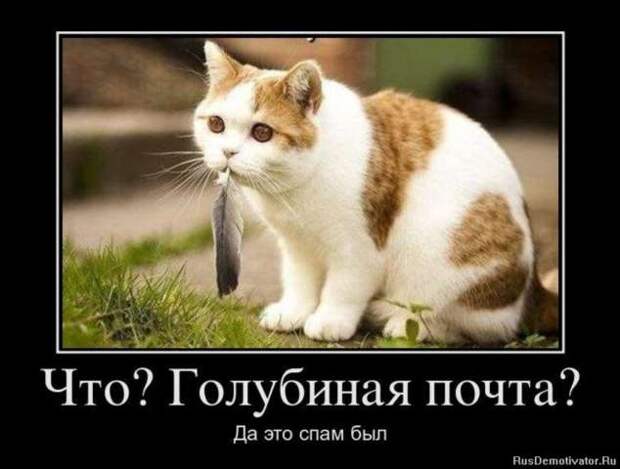 Демотиваторы. Подборка chert-poberi-chert-poberi-06230805052020-1 картинка chert-poberi-06230805052020-1