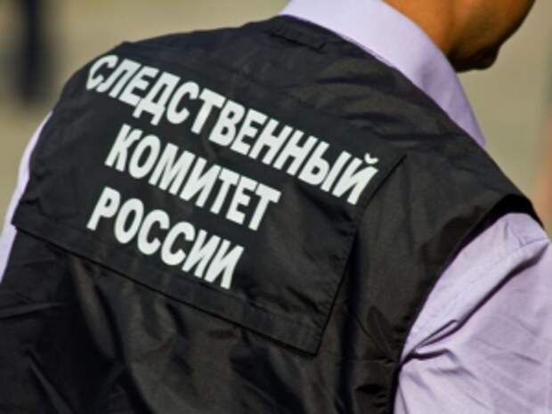 В центральный аппарат СК России будет доложено о ходе проведения проверки о нарушении прав многодетных семей из Краснодарского края