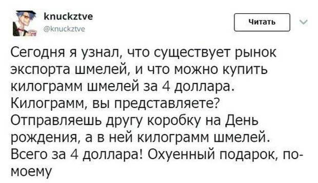 Смешные комментарии из социальных сетей Смешные комментарии из социальных сетей