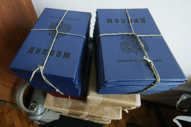 Amur Mash: и.о. замглавы района в Хабаровском крае наказали за поддельный диплом