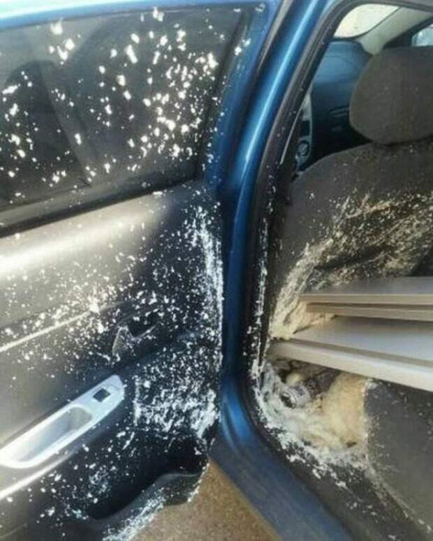 Подборка автоюмора (33 фото)