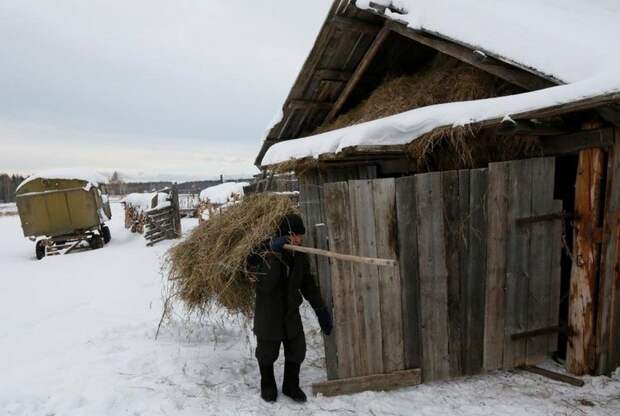 последний житель