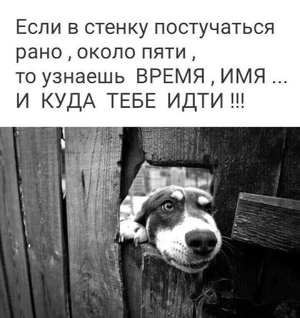 Шутки о жизни. Много позитива