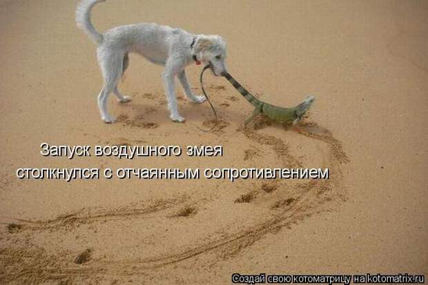 Мысли вслух :)