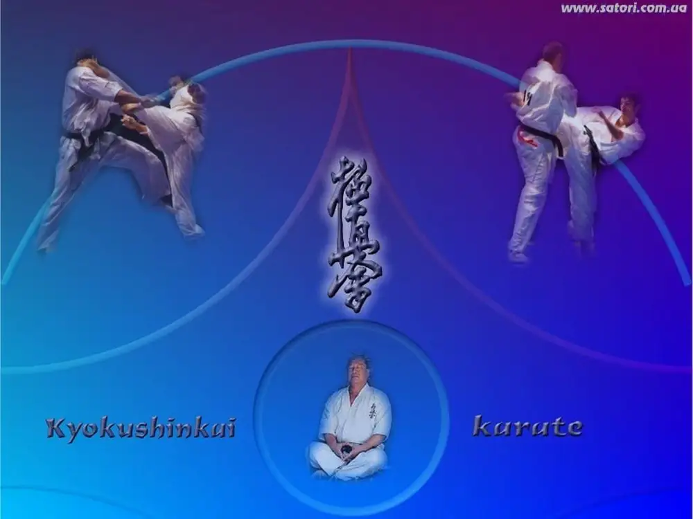 Kyokushin Karate надпись