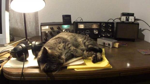 НАМ ПИШУТ: Интернет радиоволны не заменит. Только Россия отказалась от УКВ, а «партнеры» продолжают вещание на волнах