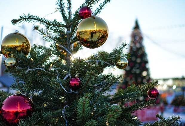 Политическая демонстрация сопротивления: кому мешает нехаляльный Новый год