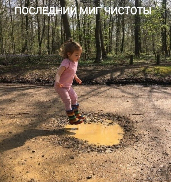Юмор, мемы, картинки! Продолжаем наш весенний юмор!