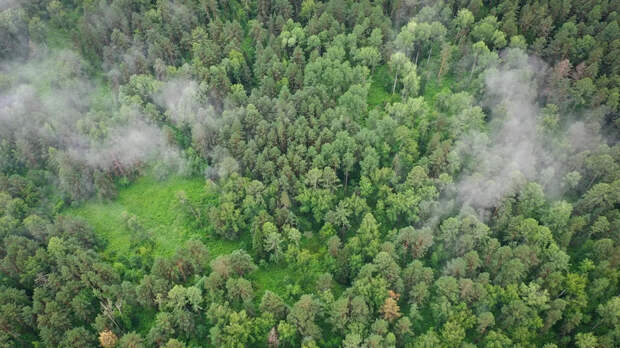 Поисковик Торгашина: тепловизор показал две точки в районе пропажи Усольцевых