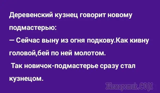 Анекдоты для отдыха