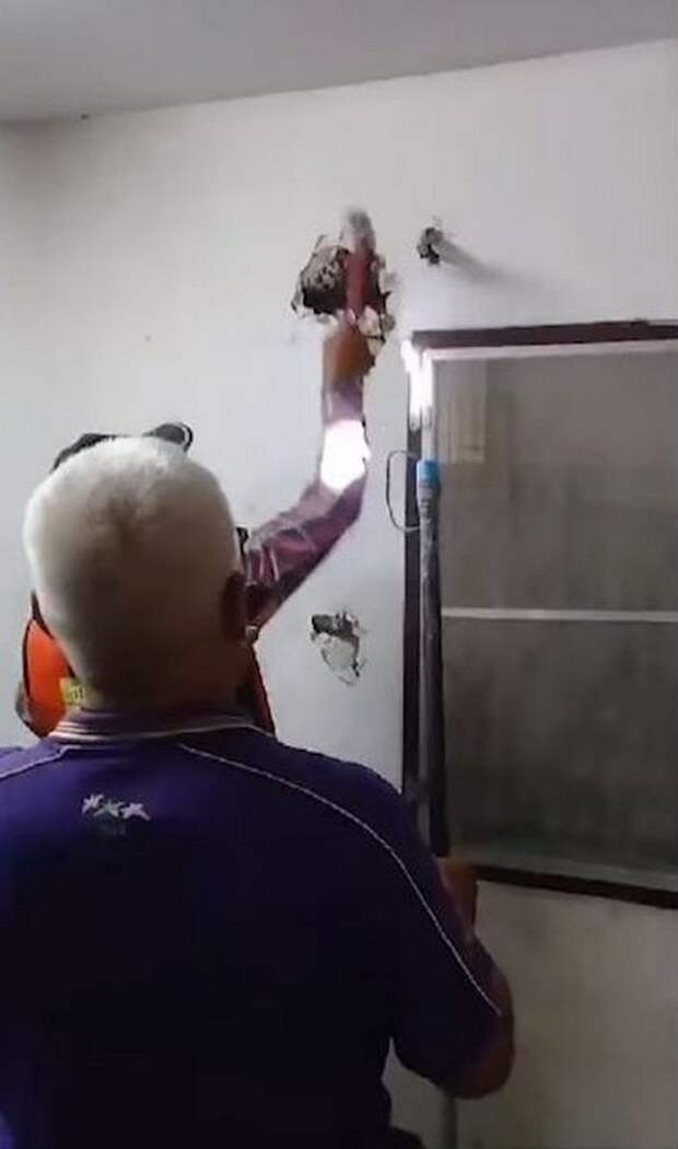 Сомчаи Субданг обнаружил непрошеного гостя в стене своего дома