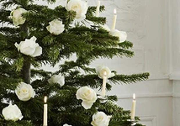 Как украсить елку в 2024 году, чтобы угодить Зеленому Дракону