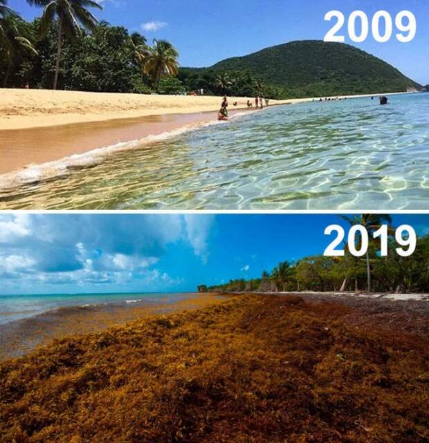Климатические изменения от экологических организаций в стиле 10YearChallenge