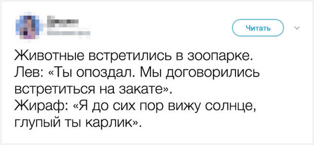 16 «подслушанных» историй о комичных выходках, которые могли совершить только наши питомцы