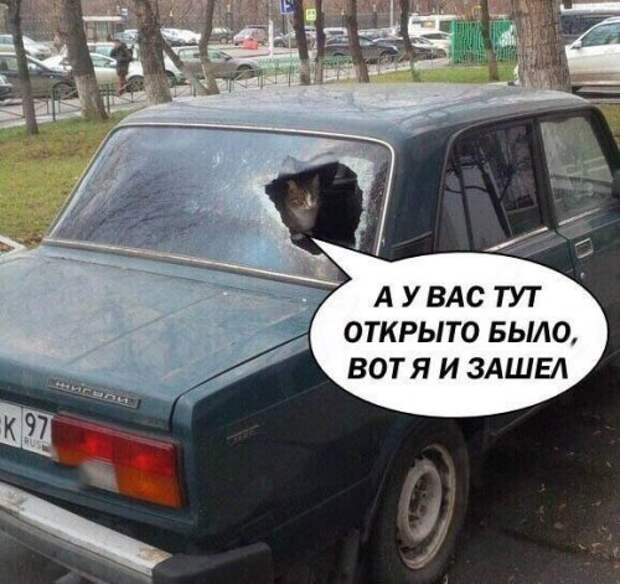 Новые АВТОприкольные картинки на Бугаге (20 шт)