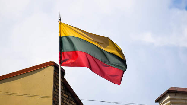 Литва требовала от БДИПЧ ОБСЕ недопуска наблюдателей из России и Белоруссии