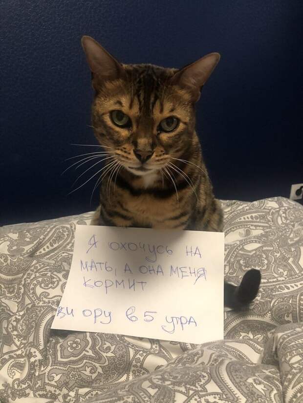 9. Неблагодарный!
