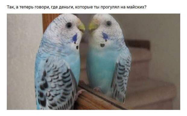 Нестандартный юмор :)