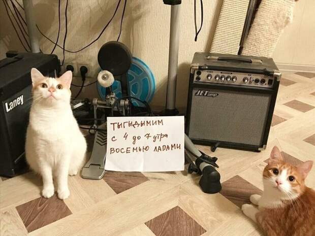 5. Тыгыдык по сговору в особо крупных размерах
