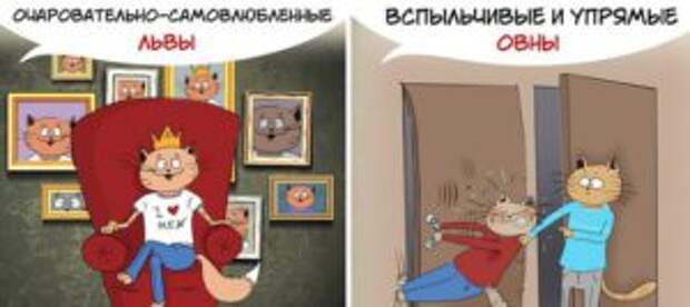 Такие разные знаки зодиака
