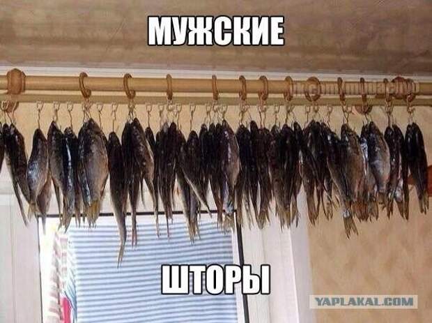 Просто 30 картинок из тырнета