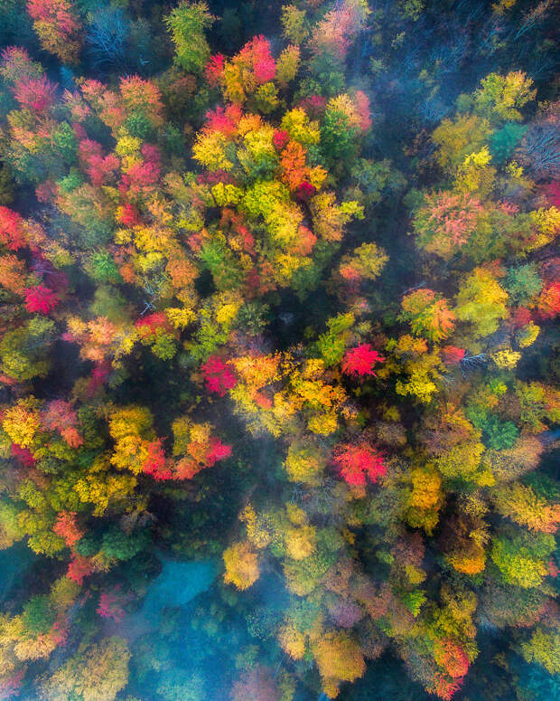 Vermont
