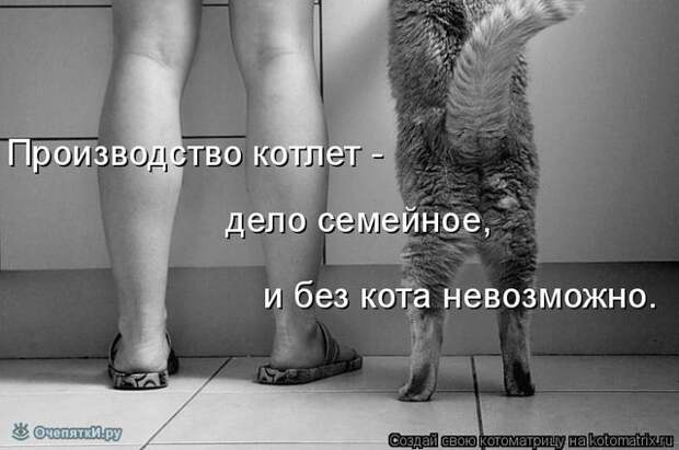 Котоматрица на радость 28