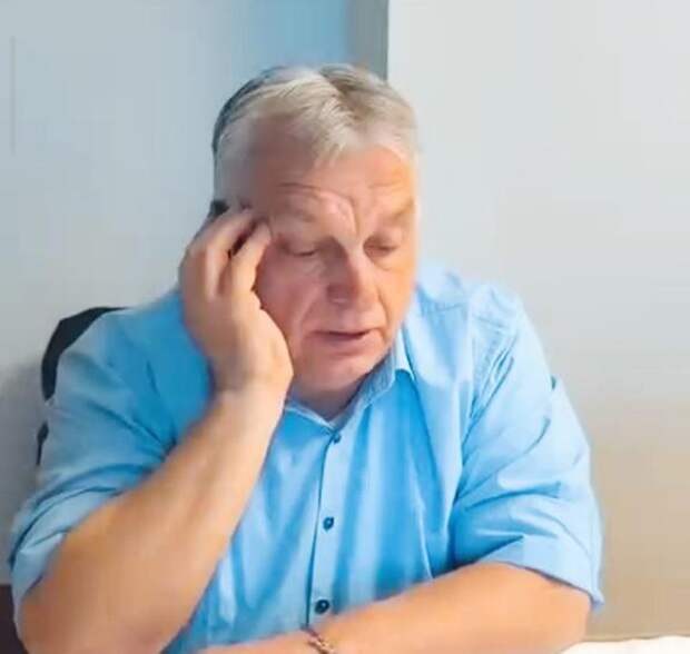 «Подумайте о детях»: Киев перешел на личности в ссоре с Орбаном