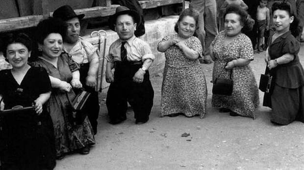 Георгий Зотов: Семь гномов Освенцима