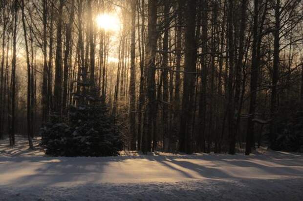 В карьерах под Выборгом прогремят взрывы