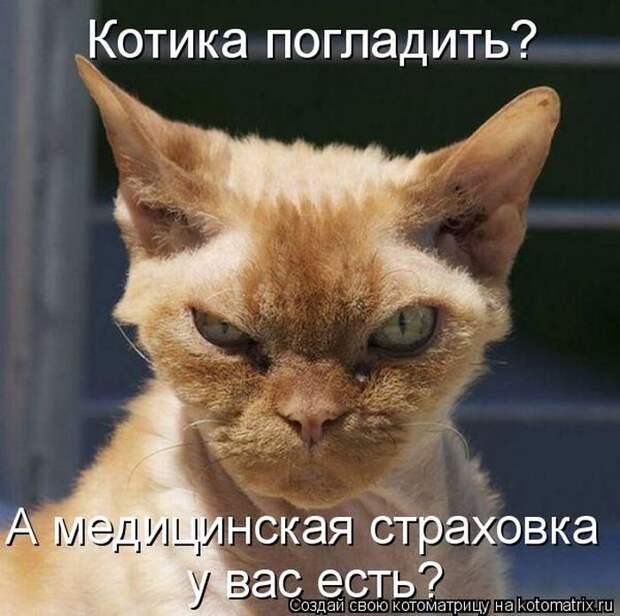Мысли вслух :)