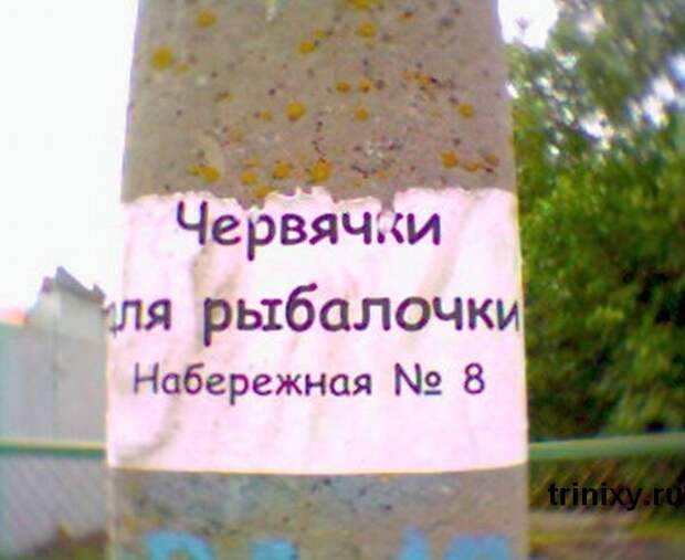 маразмики