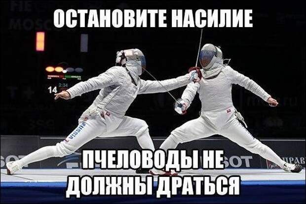 Прикольные картинки картинки из сети, прикол, юмор