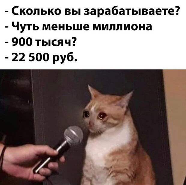 203850_16_trinixy_ru.jpg