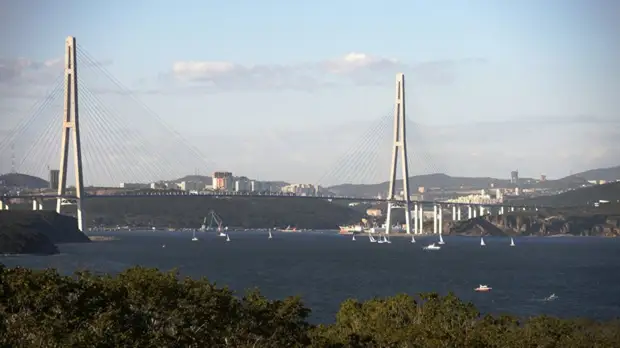 Число кандидатов на пост губернатора Приморья достигло 20