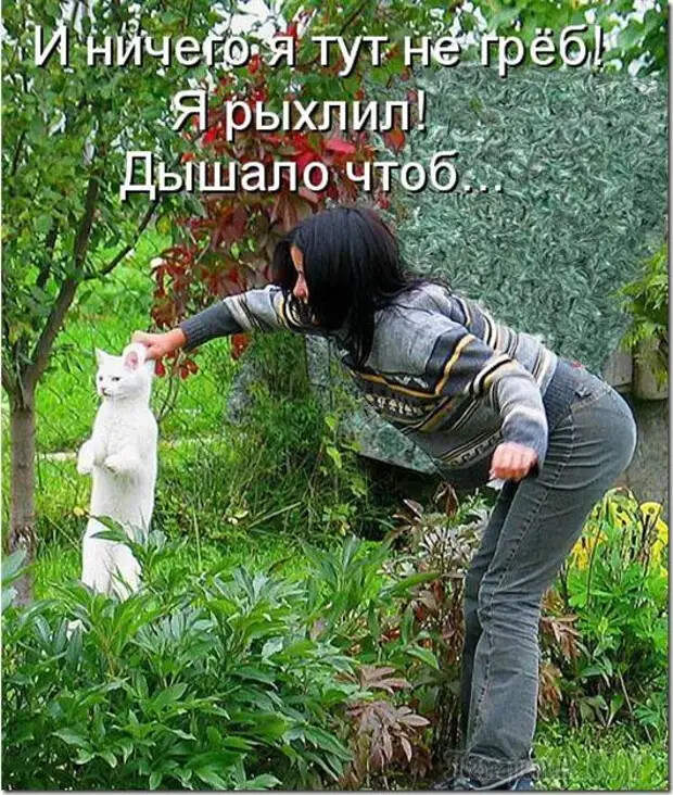 Анекдоты для отдыха