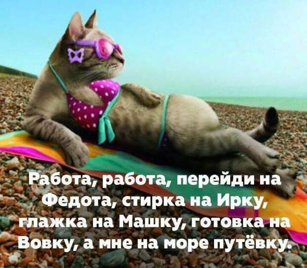 Шутки о жизни. Много позитива
