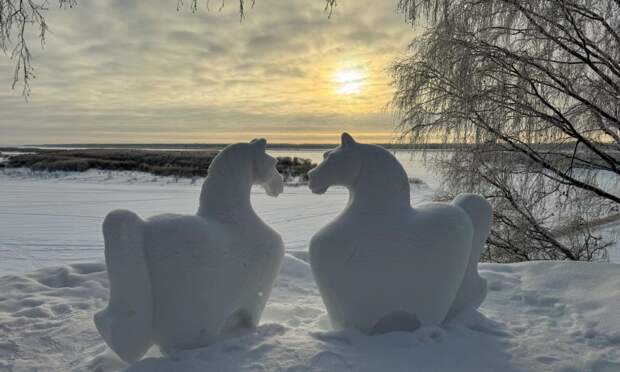 В Верхней Тойме появился снежный парк с символом 2026 года